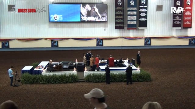 MGN15 - Performance Arena - 10-15-15 ...