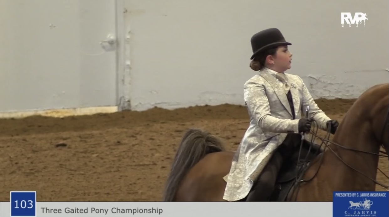 BB21 - Class 103 - Three Gaited Pony Championship