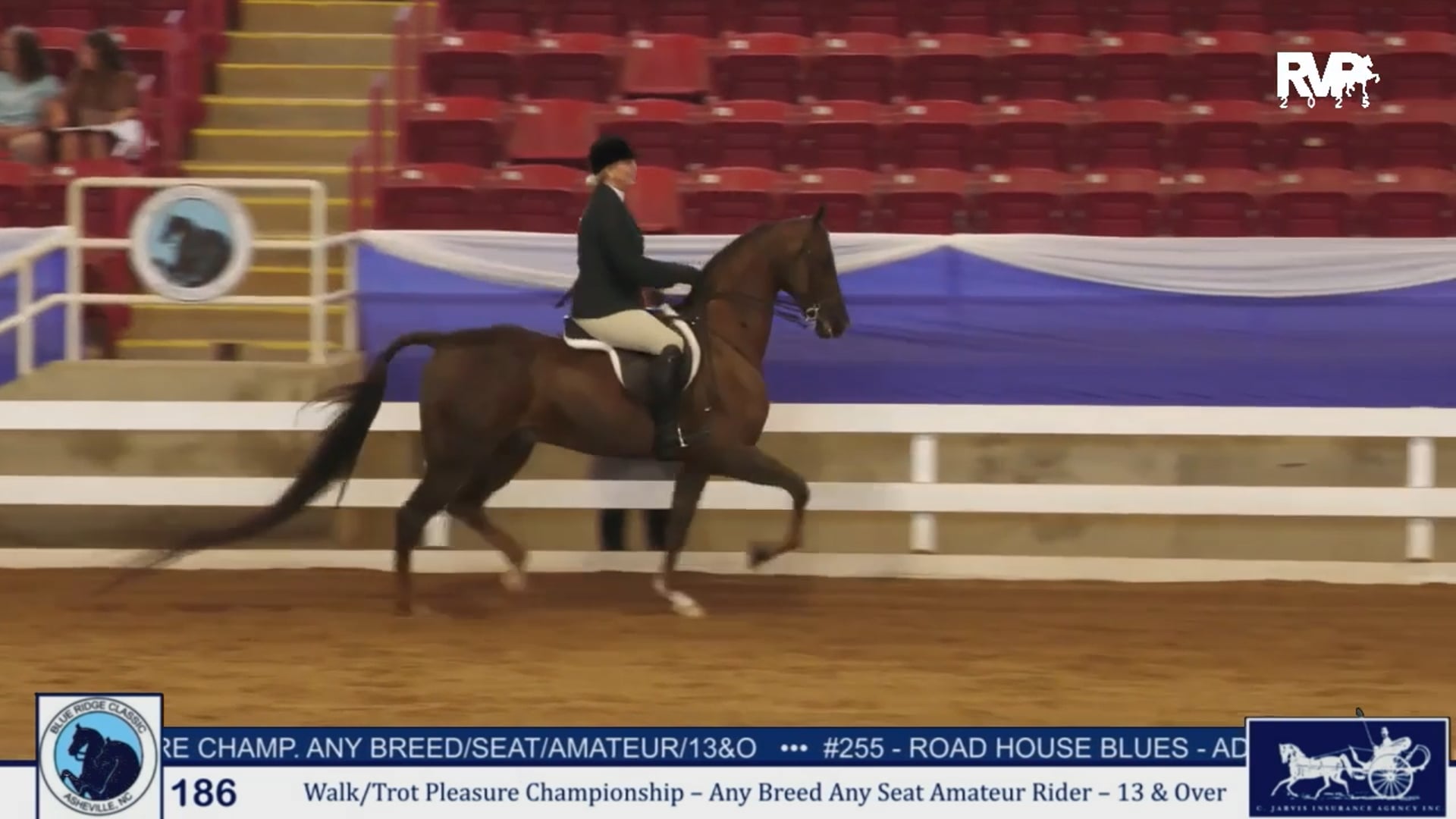 BRC25 - Class 186 - Walk & Trot Pleasure Championship Any Breed & Seat Amateur Rider 13 & Over
