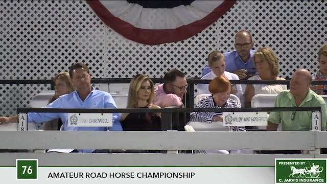 2017 RC - Class 76 Amateur Road Horse...