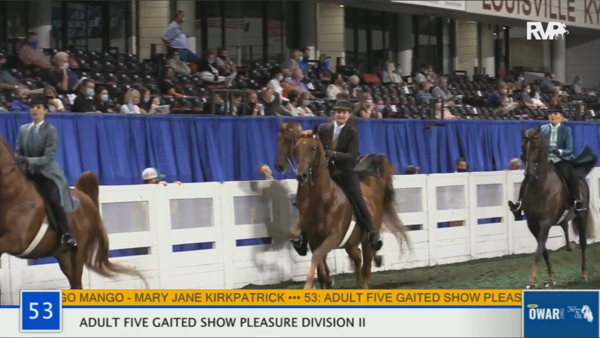 WCHS 2020 Class 53 - Adult Five-Gaited Show Pleasure - Division II