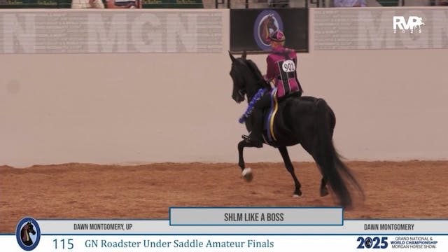 MGN25 - Class 115 - SHLM Like a Boss ...