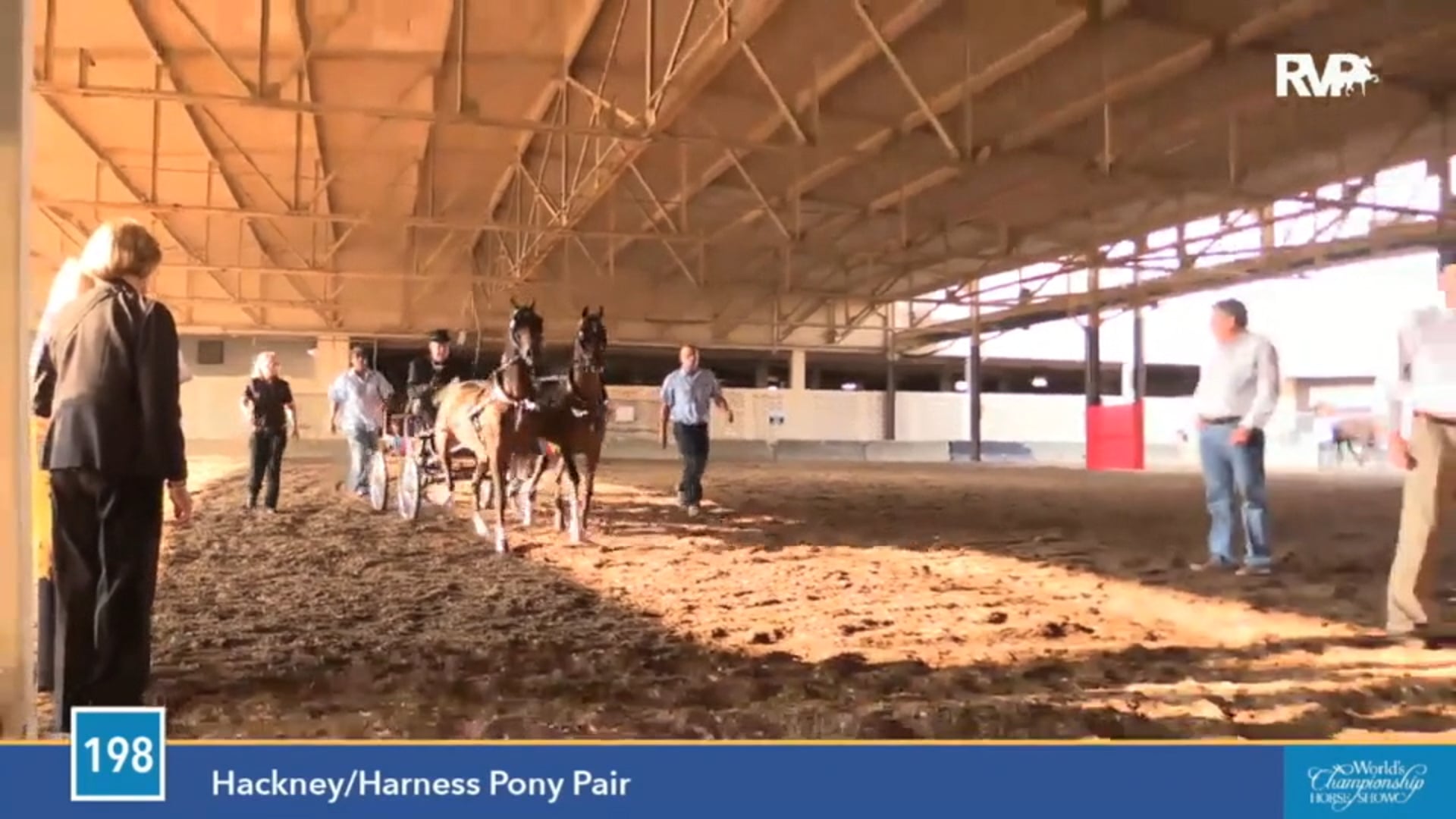 2015 WCHS - Class 198 Hackney:Harness Pony Pair