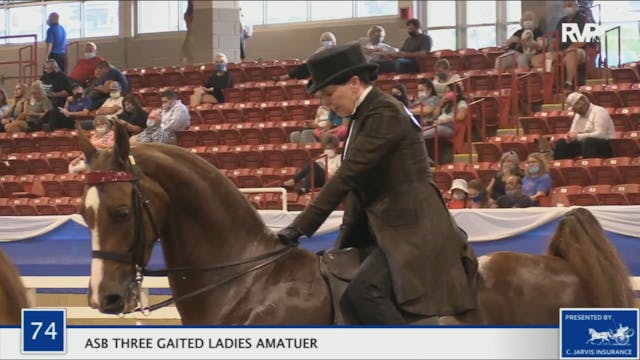 BR20 - Class 74 ASB Three Gaited Ladi...