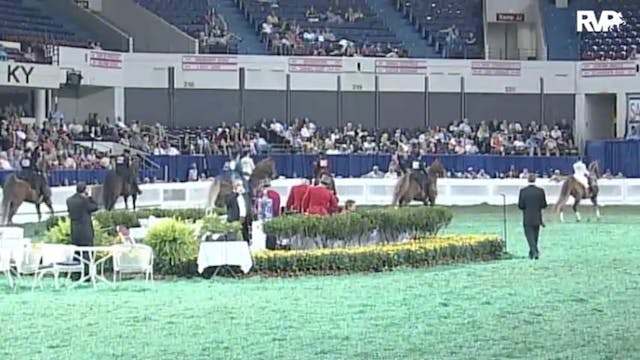 2010 World's Championship Horse Show ...