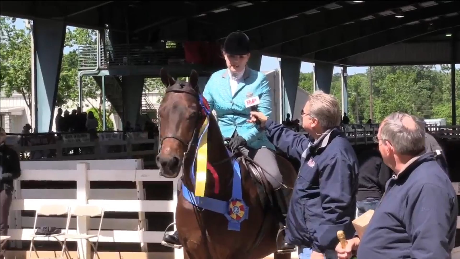 DC17 - All Hail To The Chief - Championship