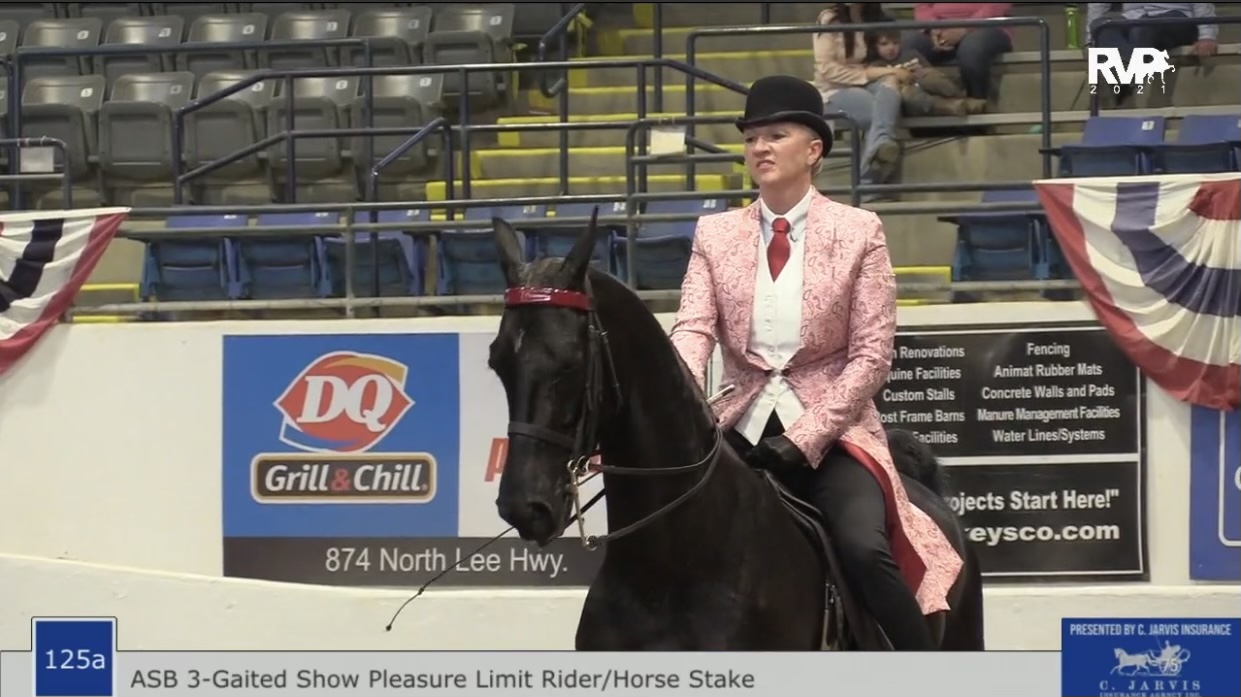 BB21 - Class 125A - ASB Three Gaited Show Pleasure Limit Rider-Horse Stake