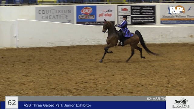BB22 - Class 62 -  ASB Three Gaited P...