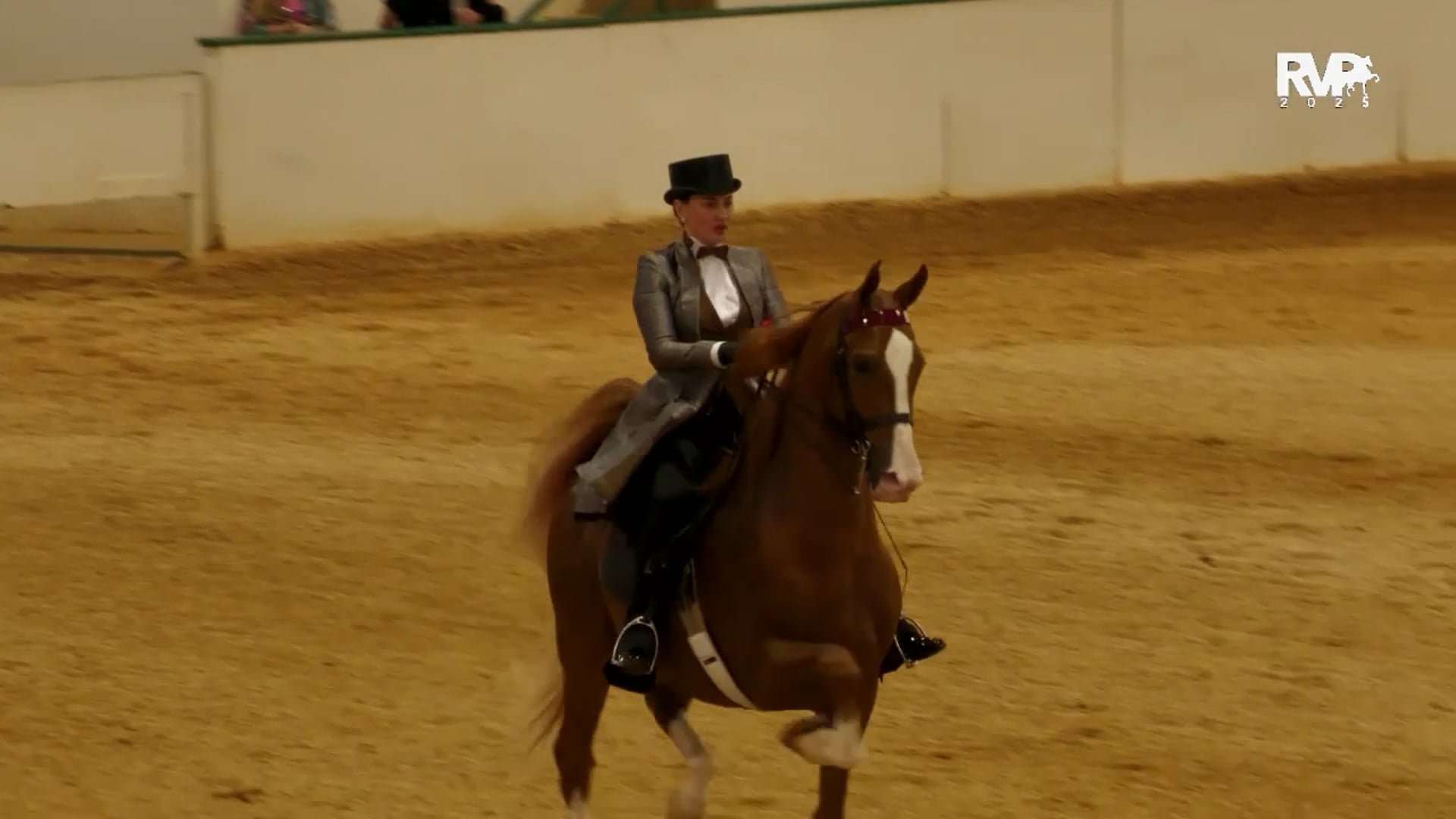 SS25 - Class 80.1 -  ASB Park Junior:Limit Horse