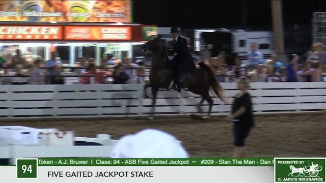 2017 RC - Class 94 Five Gaited Jackpo...