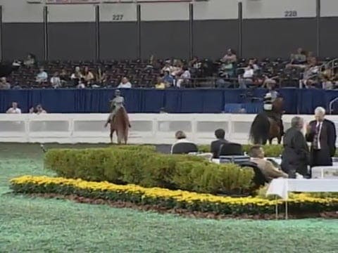 2008 WCHS Class 69 11 Yr Old Saddle S...