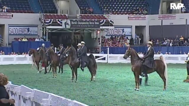 2010 World's Championship Horse Show ...