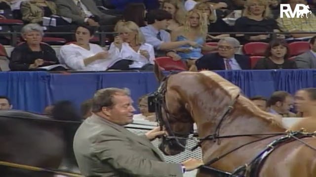 2004 World's Championship Horse Show ...