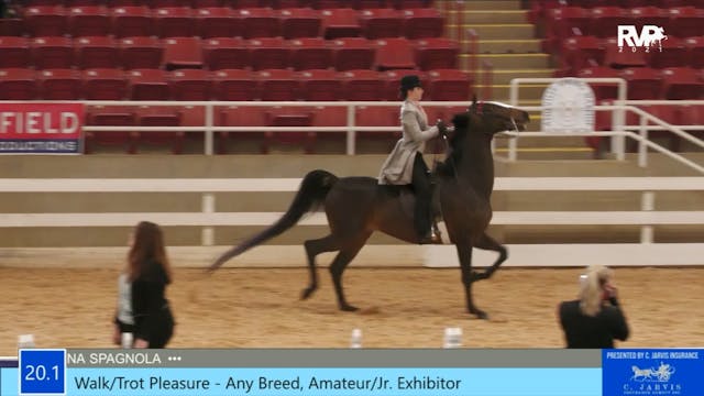 ASW21 - Class 20.1 - Walk Trot Pleasu...
