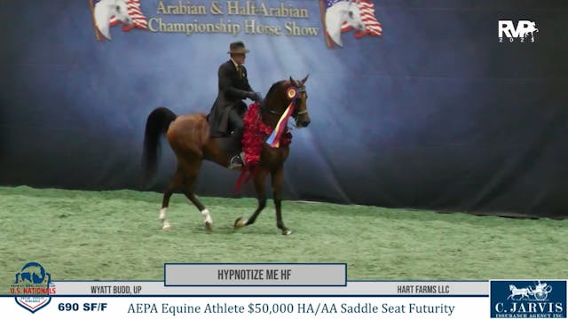 AN25 - Class 690 - SD The Optimist an...