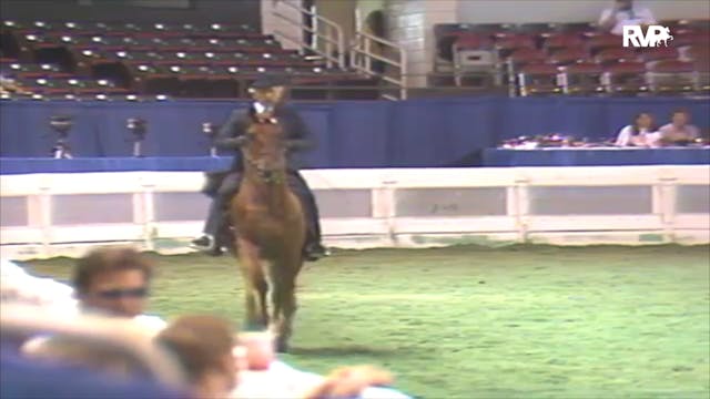 1992 WCHS Class 94 ASHA Amateur Three...