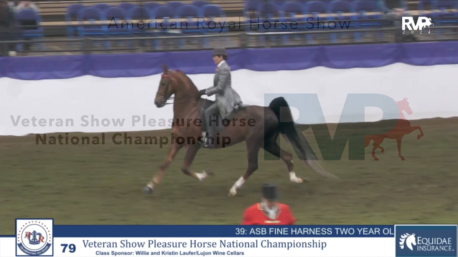 AR24 - Class 79 - Veteran Show Pleasure Horse National Championship
