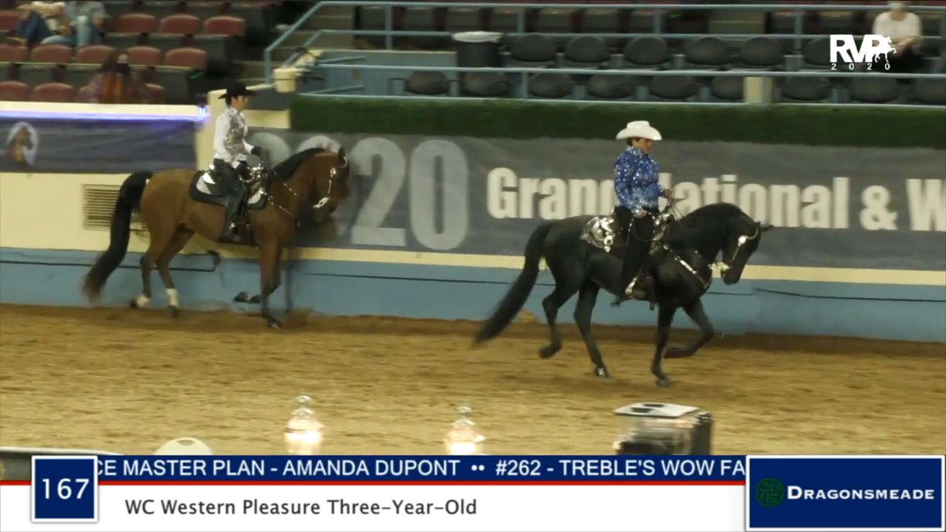 2020 MGN - Class 167 WC Western Pleasure Three-Year-Old