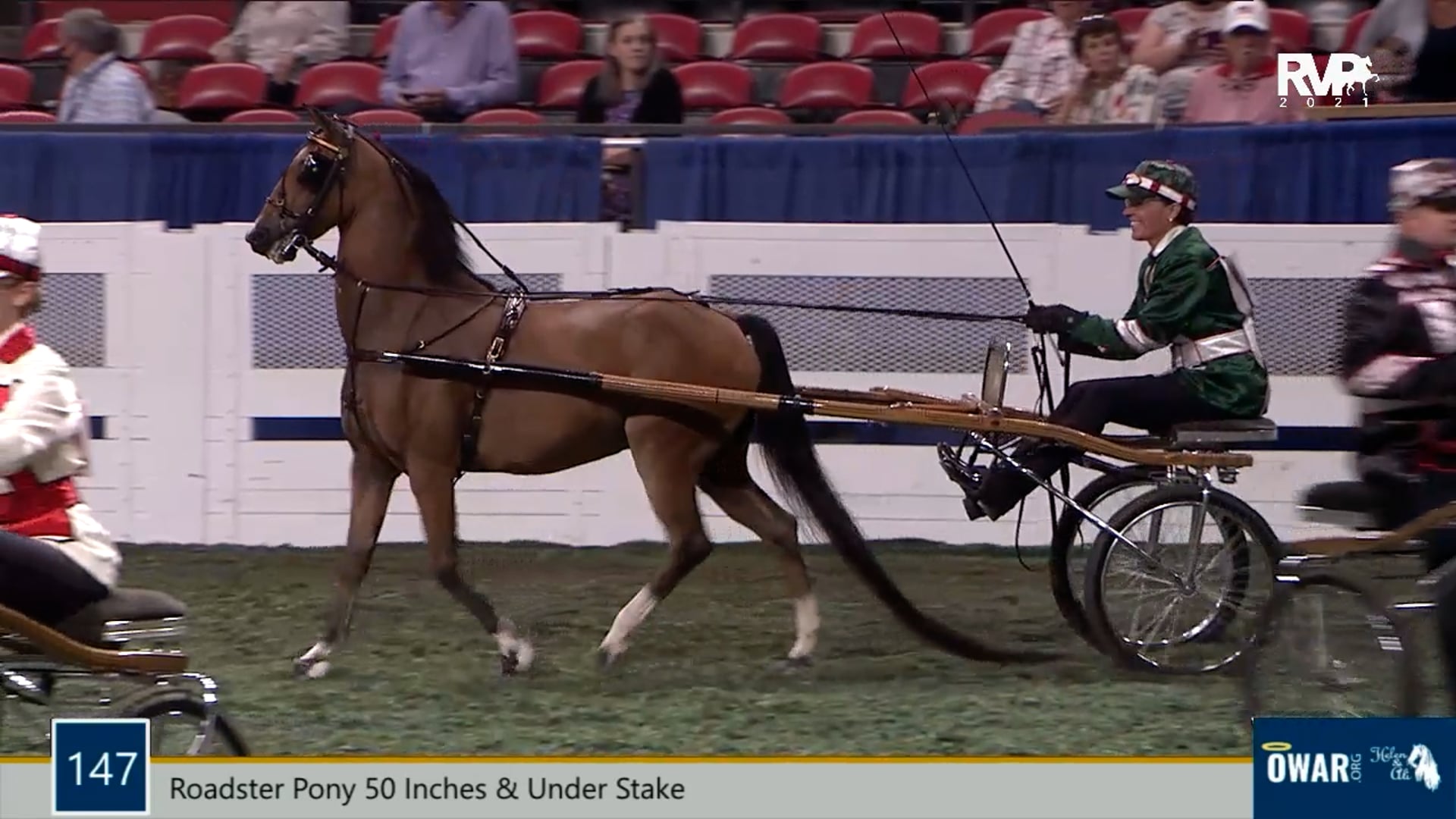 WCHS21 - Class 147 - Roadster Pony 50 Inches & Under Stake