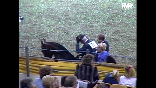 1987 AR - Class 14 Five Gaited Mare S...
