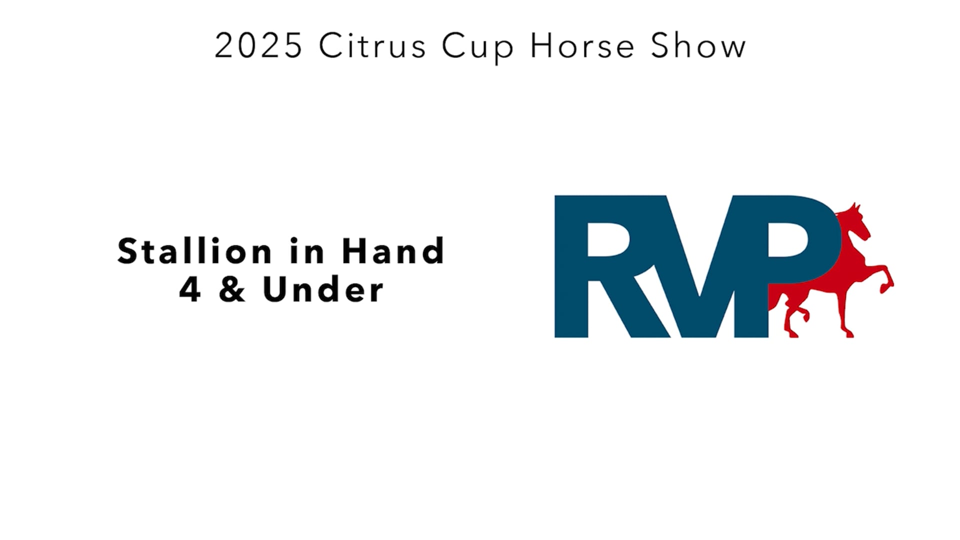 CC25 - Class 9 - Stallion in Hand 4 & Under