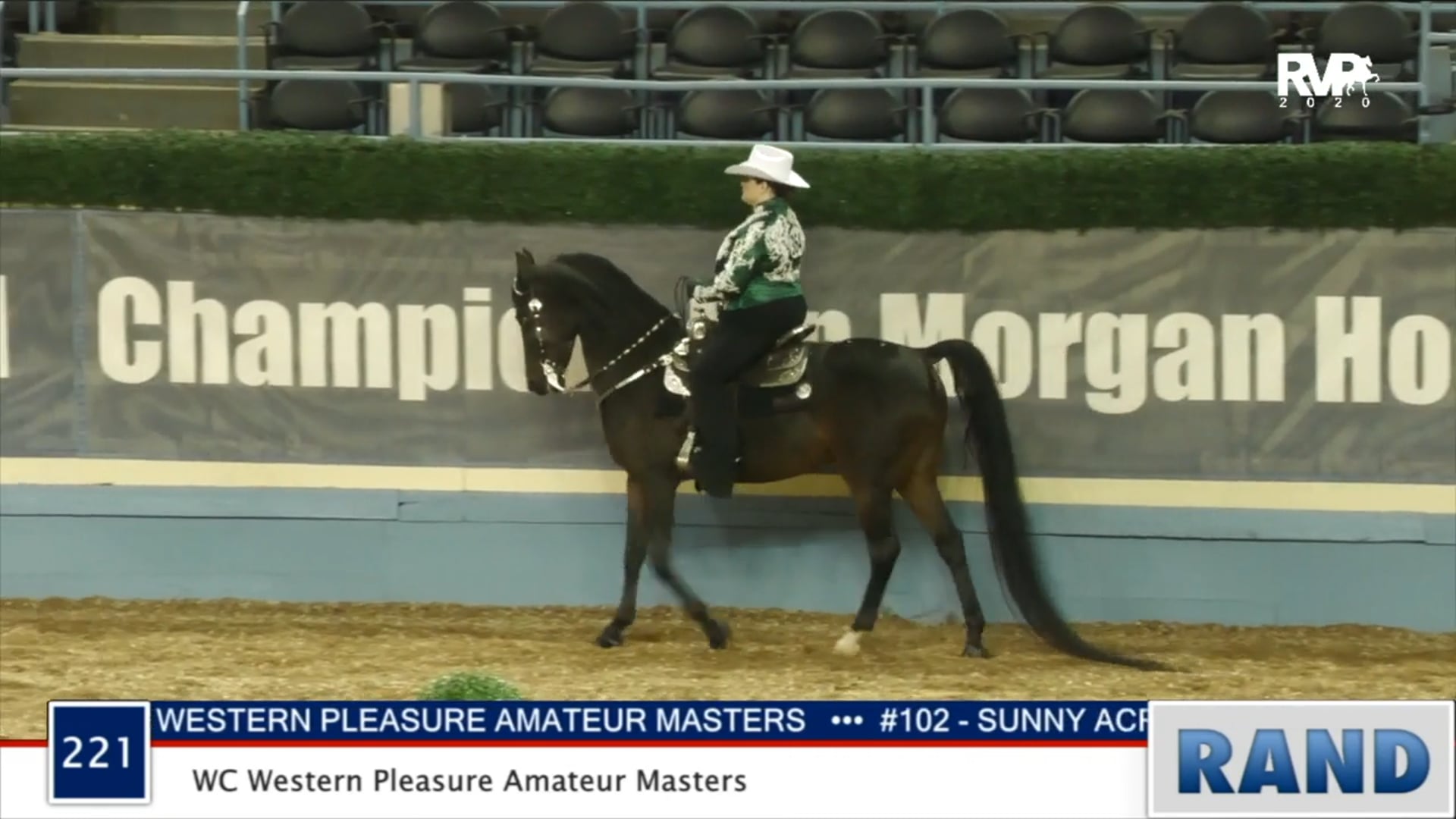 2020 MGN - Class 221 WC Western Pleasure Amateur Masters
