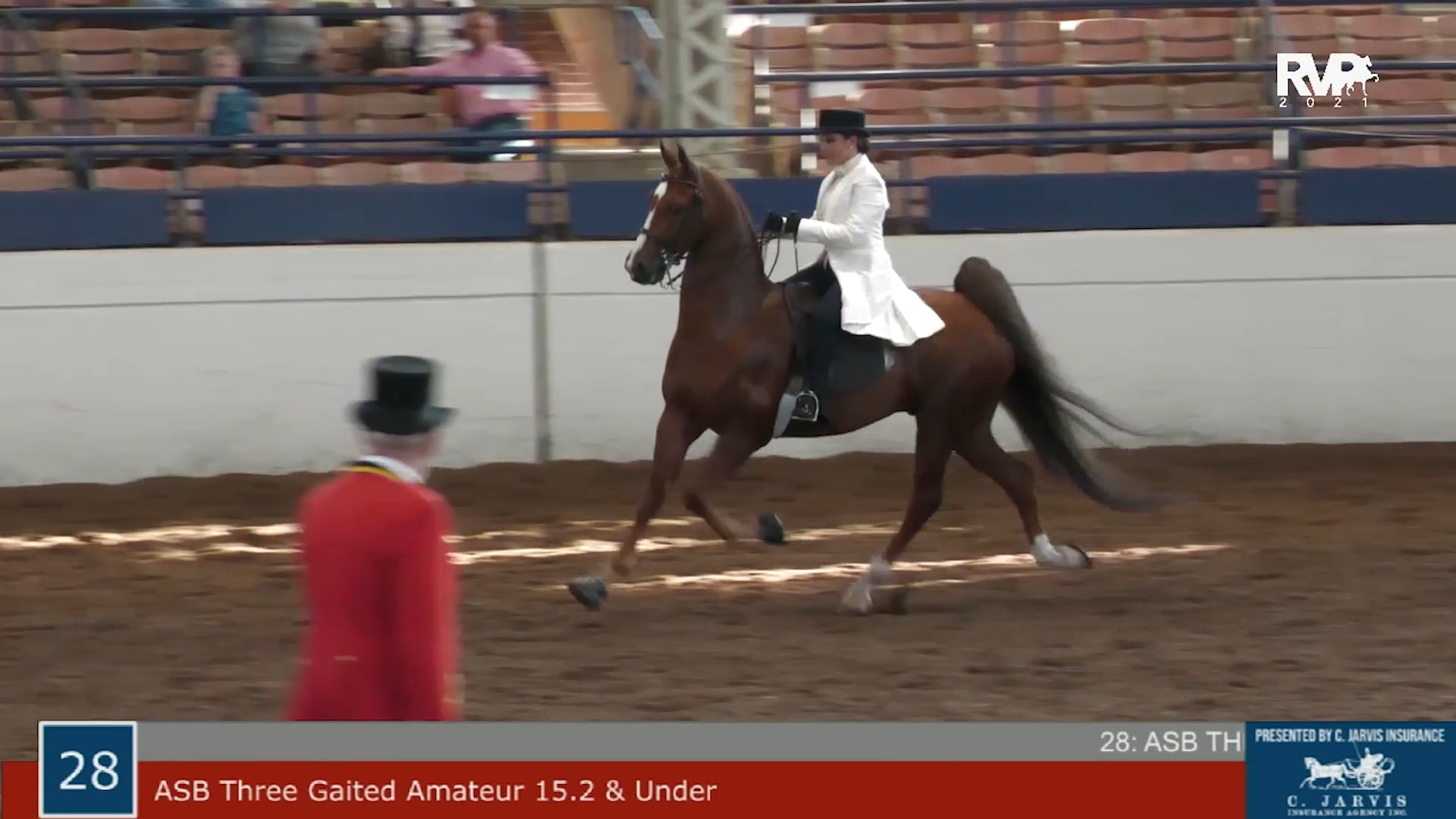 MW21 - Class 28 - ASB Three Gaited Amateur 15.2 & Under 