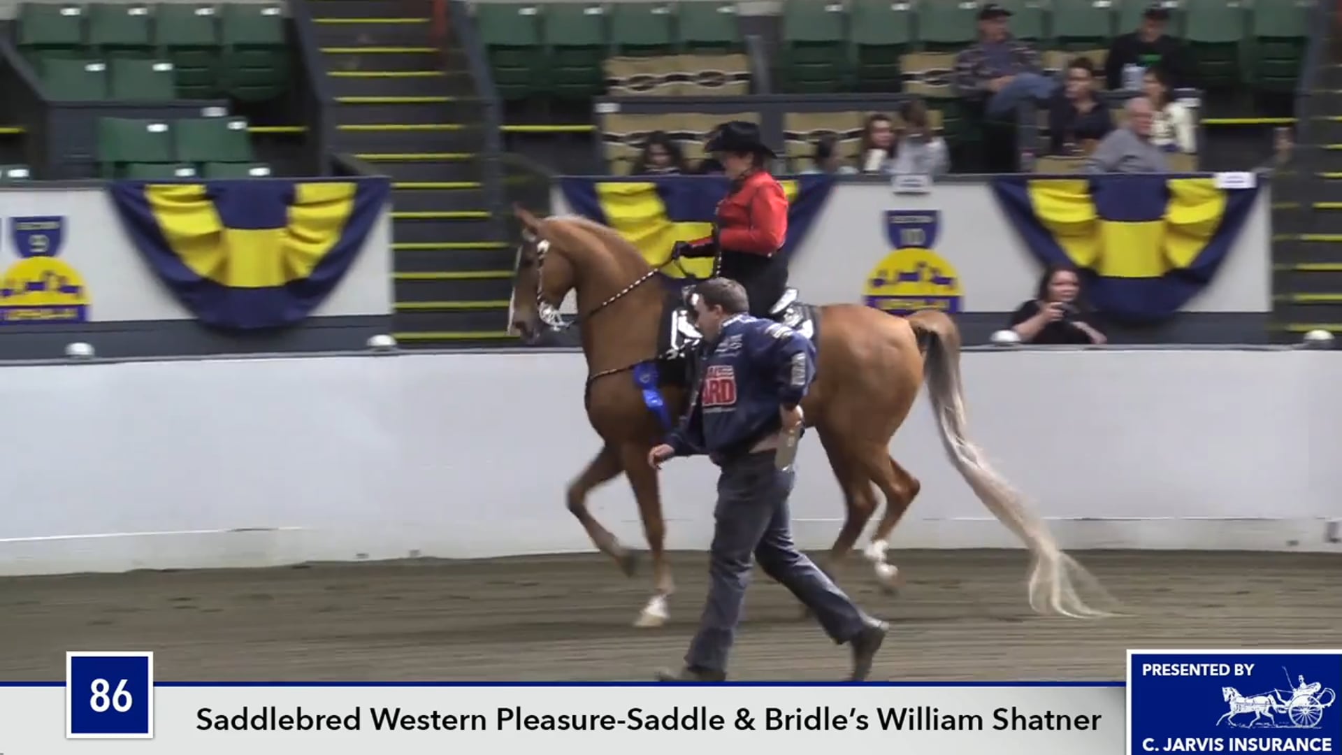 UPHACh14 17 - CH Charming In Blue - Class 86 