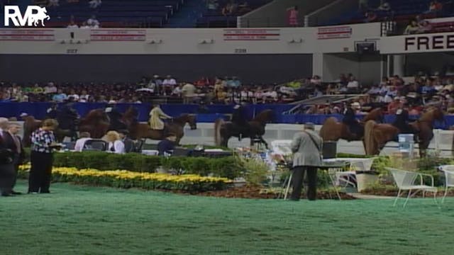 2004 World's Championship Horse Show ...