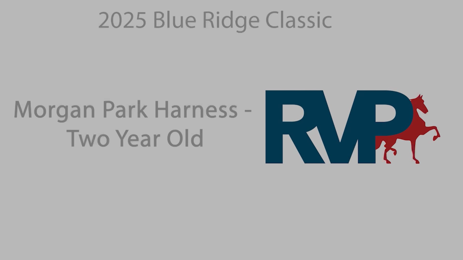 BRC25 - Class 117.2 - Morgan Park Harness -Two Year Old