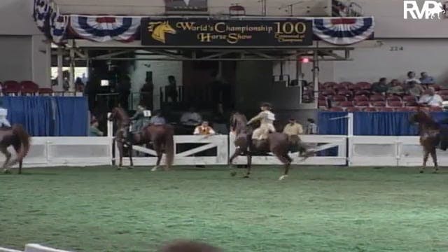 2003 WCHS Class 21 ASB Adult Three Ga...