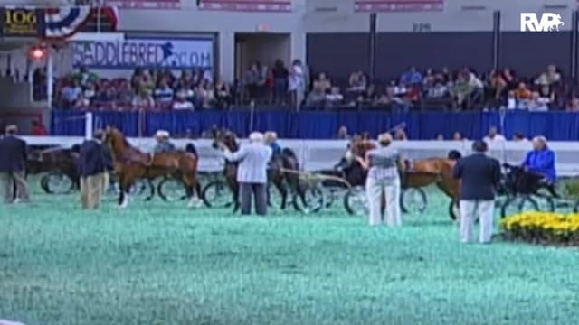 2009 World's Championship Horse Show ...