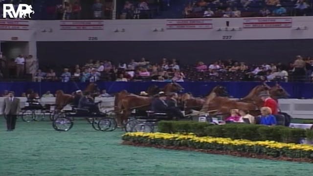 2004 World's Championship Horse Show ...