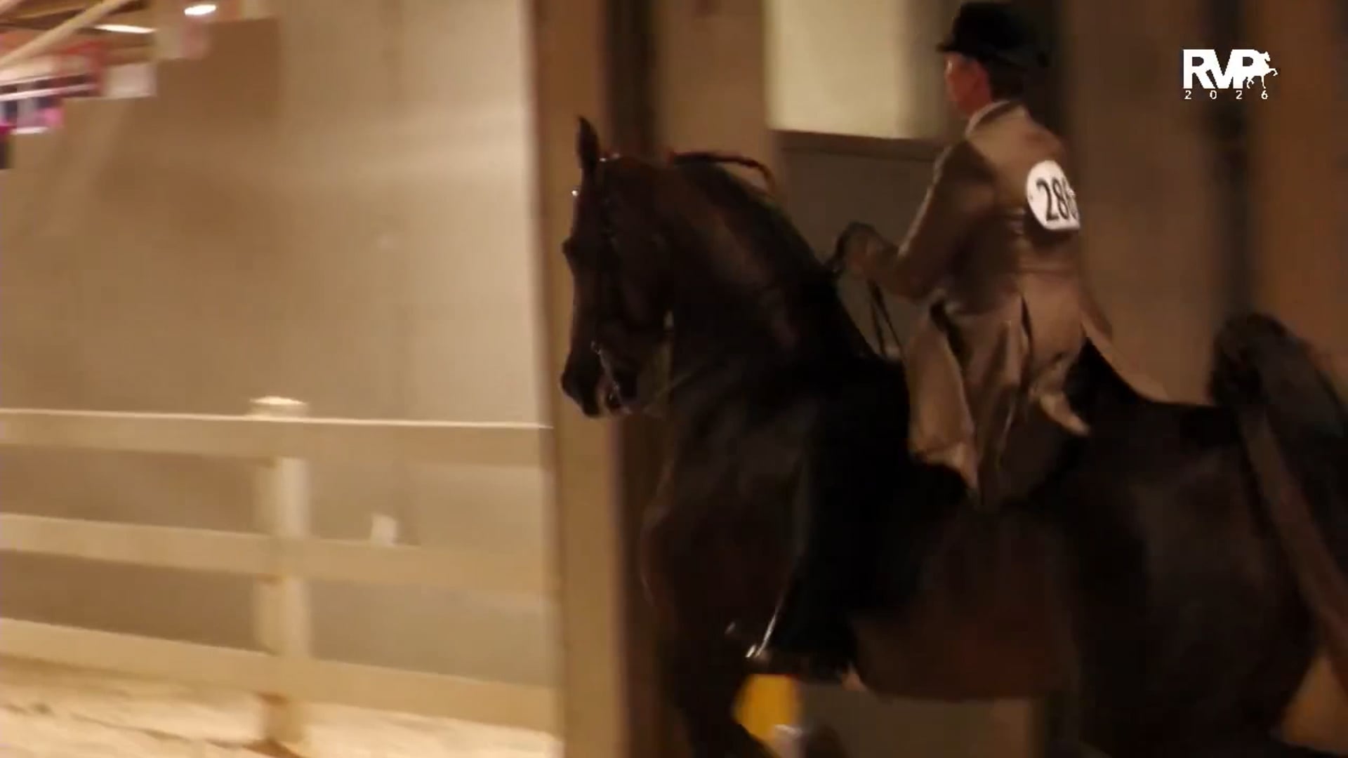 ASC26 - Class 154 - Five Gaited Championship Amateur