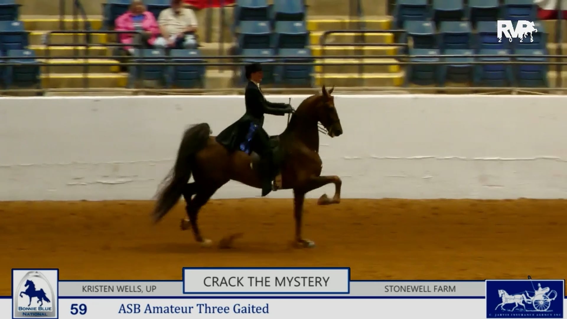 BB25 - Class 59 - ASB Amateur  Three Gaited