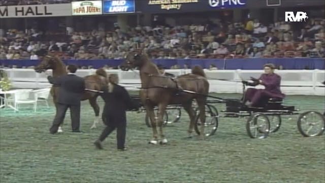 2006 WCHS Class 196 Futurity Of Kentu...