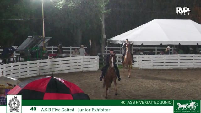 RC24 - Class 40 - ASB Five Gaited Jr ...