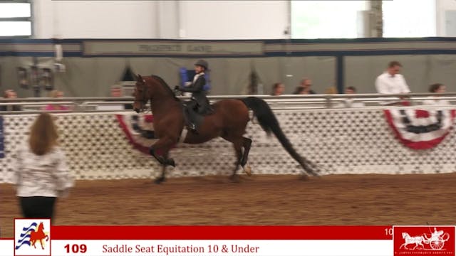 AAC24 - Class 109 - Saddle Seat Equit...