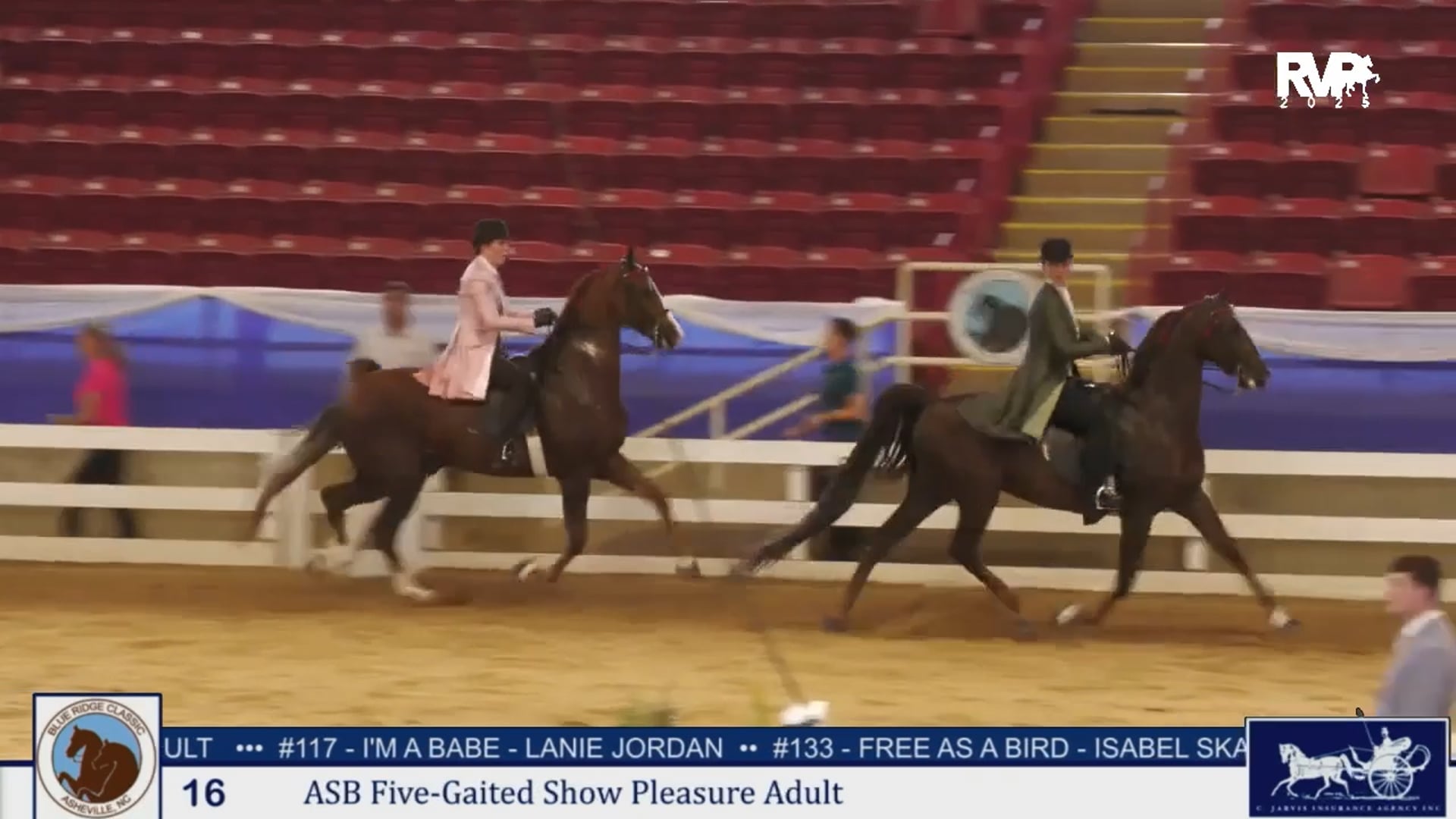 BRC25 - Class 16 - ASB Five Gaited Show Pleasure Adult