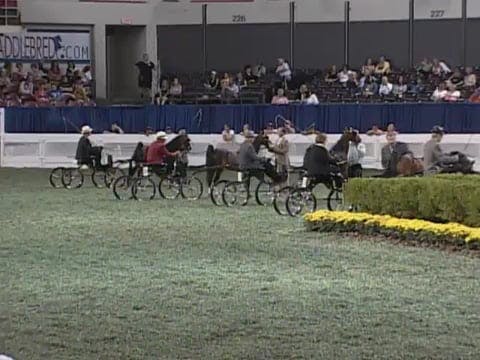 2008 WCHS Class 217 Junior Harness Po...