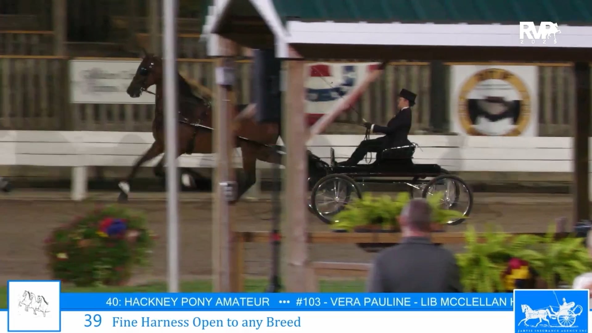 SSC25 - Class 39 - Fine Harness Open to Any Breed