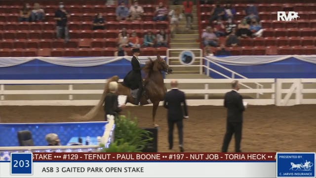 2020 BR - Class 203 ASB Three Gaited ...