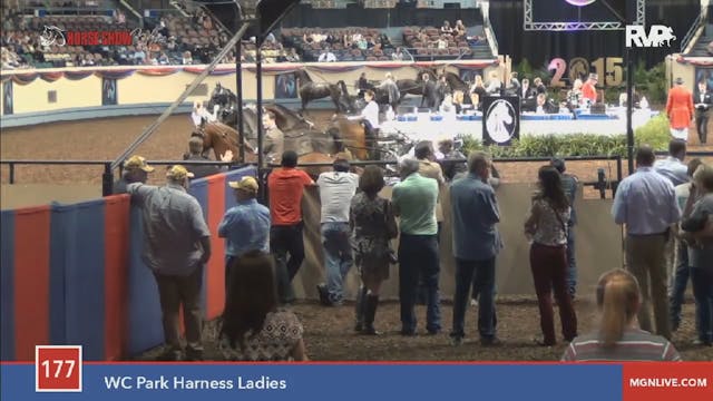 2015 MGN - Class 177 WC Park Harness ...