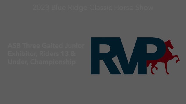 BR23 - Class 216.1 - ASB Three Gaited Junior Exhibitor, Riders 13 & Under Championship