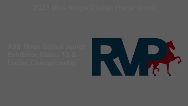 BR23 - Class 216.1 - ASB Three Gaited...