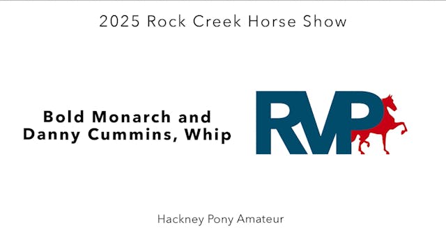 RC25 - Class 65 - Bold Monarck and Da...