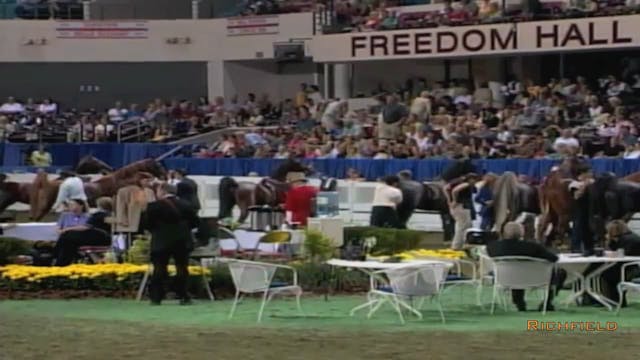 2002 WCHS Class 97 Five Gaited Nation...