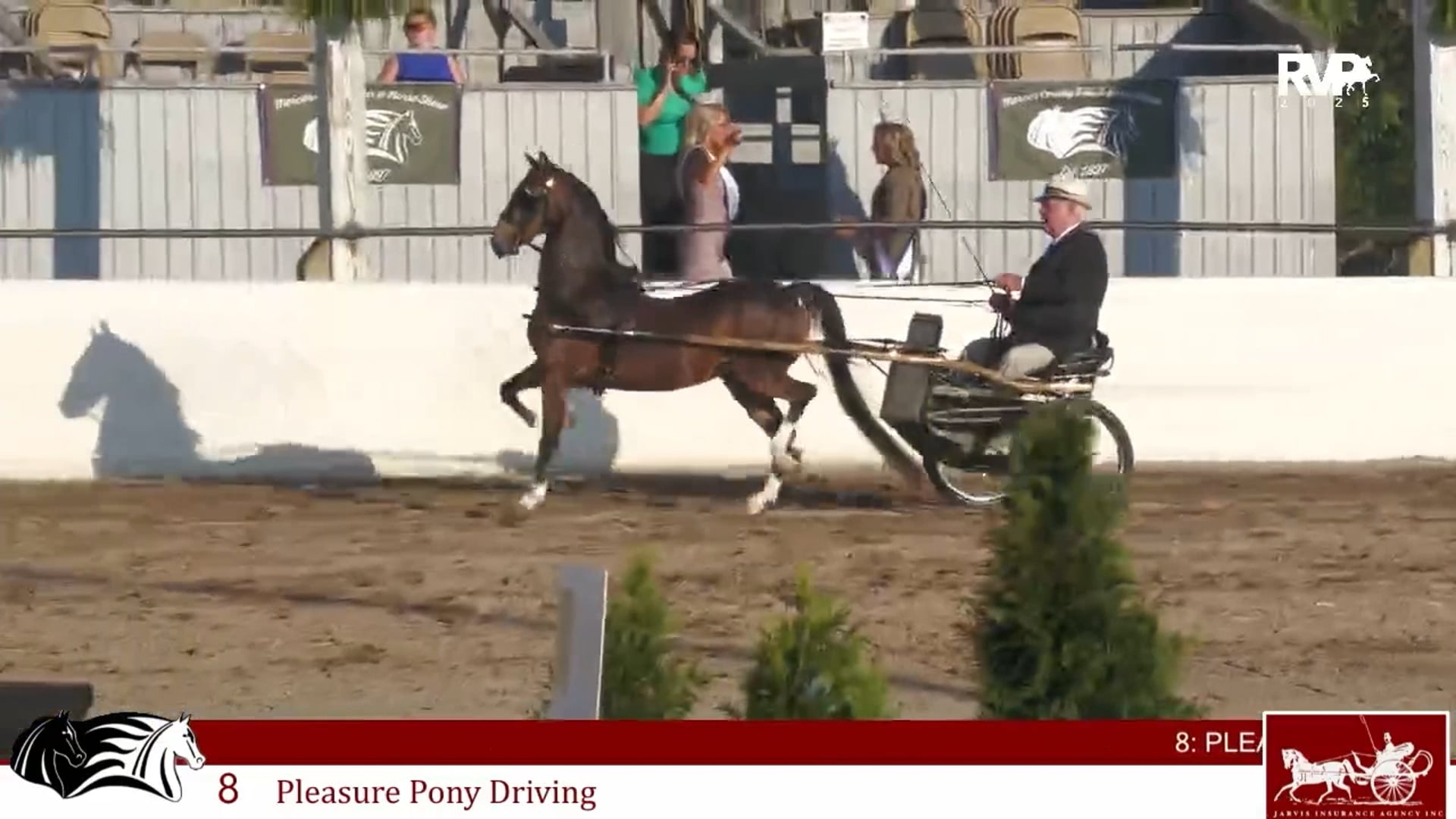 MCF25 - Class 8 - Pleasure Pony Driving