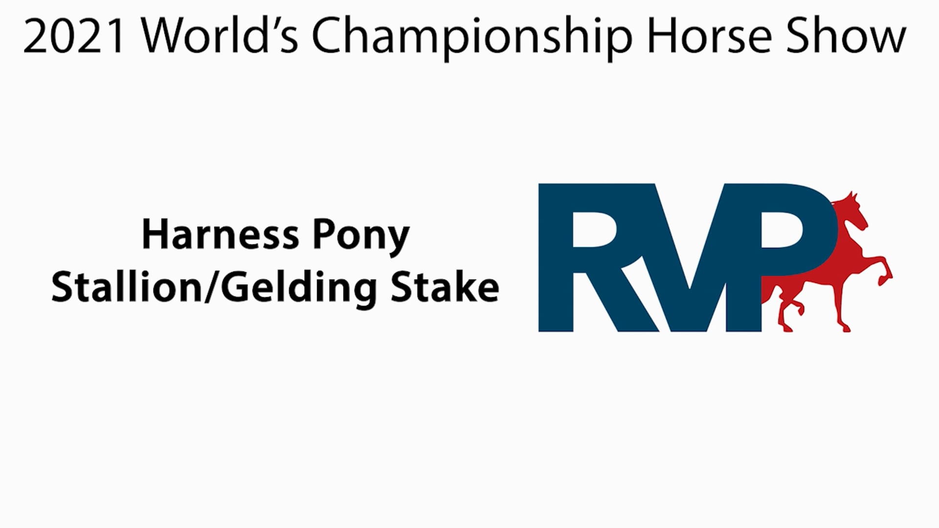 WCHS21 - Class 159 - Harness Pony Stallion Gelding Stake