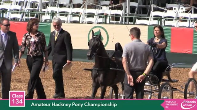 2015 LJL - Class 134 Amateur Hackney ...